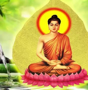 Tuyển Tập Nhạc Phật Giáo Hay Nhất Giúp Tĩnh Tâm Thoải Mái