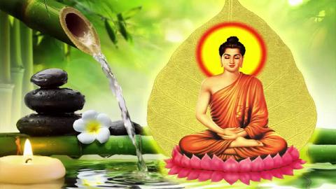 Nhạc Phật Giúp Con Người Tĩnh Tâm Thoải Mái LK Mẹ Hiền Quan Thế Âm